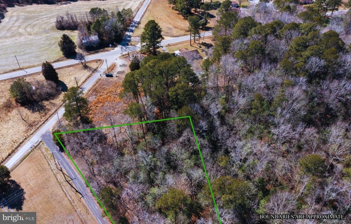 0 GOLDEN HILL RD, SURRY, Virginia 23883, ,Land,For sale,0 GOLDEN HILL RD,VASR2000032 MLS # VASR2000032 0 GOLDEN HILL RD, SURRY, Virginia 23883, ,Land,For sale,0 GOLDEN HILL RD,VASR2000032 MLS # VASR2000032