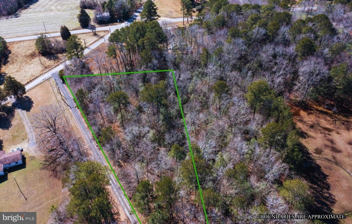 0 GOLDEN HILL RD, SURRY, Virginia 23883, ,Land,For sale,0 GOLDEN HILL RD,VASR2000032 MLS # VASR2000032 0 GOLDEN HILL RD, SURRY, Virginia 23883, ,Land,For sale,0 GOLDEN HILL RD,VASR2000032 MLS # VASR2000032