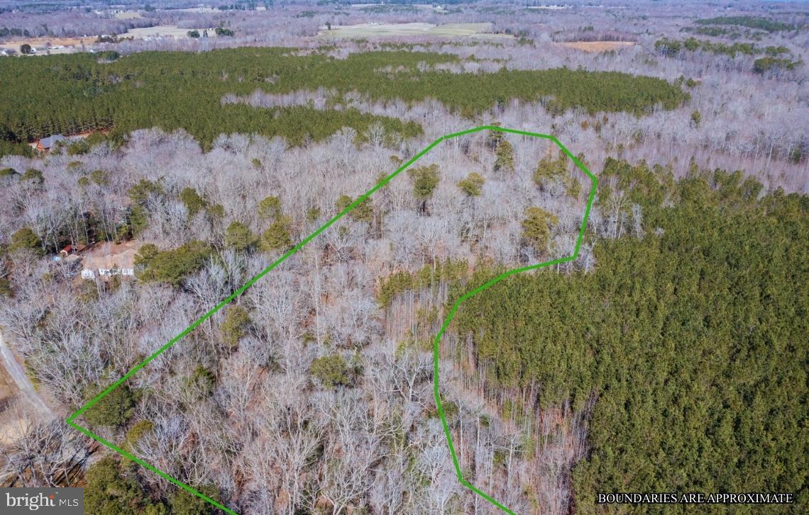 0 GOLDEN HILL RD, SURRY, Virginia 23883, ,Land,For sale,0 GOLDEN HILL RD,VASR2000032 MLS # VASR2000032 0 GOLDEN HILL RD, SURRY, Virginia 23883, ,Land,For sale,0 GOLDEN HILL RD,VASR2000032 MLS # VASR2000032