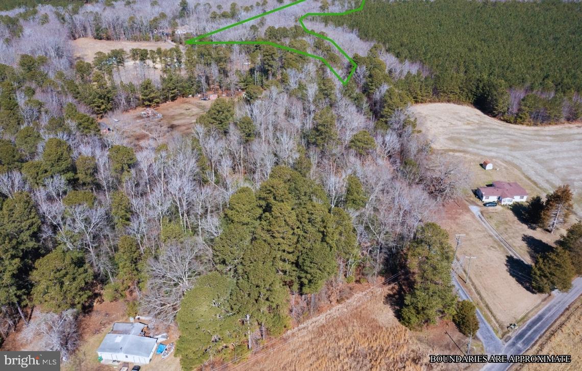 0 GOLDEN HILL RD, SURRY, Virginia 23883, ,Land,For sale,0 GOLDEN HILL RD,VASR2000032 MLS # VASR2000032 0 GOLDEN HILL RD, SURRY, Virginia 23883, ,Land,For sale,0 GOLDEN HILL RD,VASR2000032 MLS # VASR2000032
