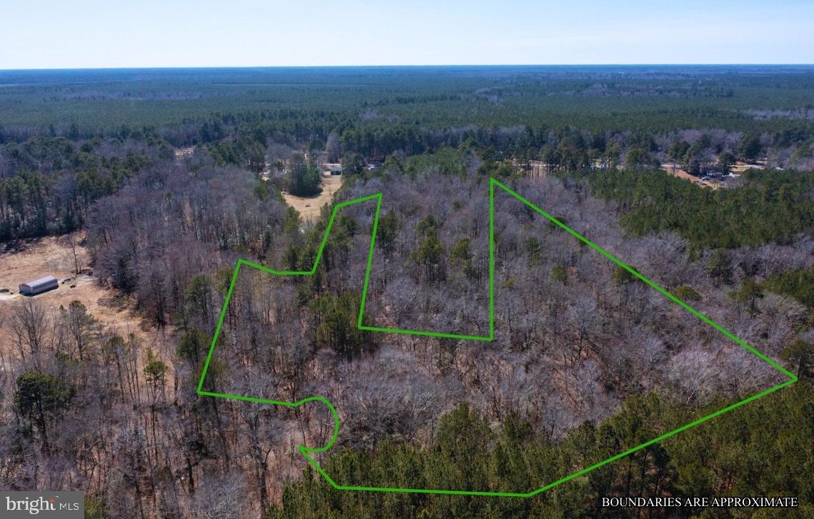 0 GOLDEN HILL RD, SURRY, Virginia 23883, ,Land,For sale,0 GOLDEN HILL RD,VASR2000032 MLS # VASR2000032 0 GOLDEN HILL RD, SURRY, Virginia 23883, ,Land,For sale,0 GOLDEN HILL RD,VASR2000032 MLS # VASR2000032