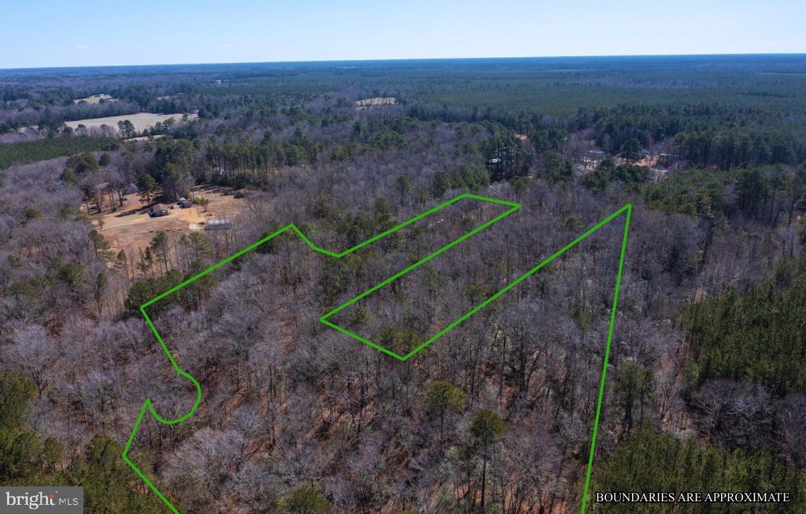 0 GOLDEN HILL RD, SURRY, Virginia 23883, ,Land,For sale,0 GOLDEN HILL RD,VASR2000032 MLS # VASR2000032 0 GOLDEN HILL RD, SURRY, Virginia 23883, ,Land,For sale,0 GOLDEN HILL RD,VASR2000032 MLS # VASR2000032