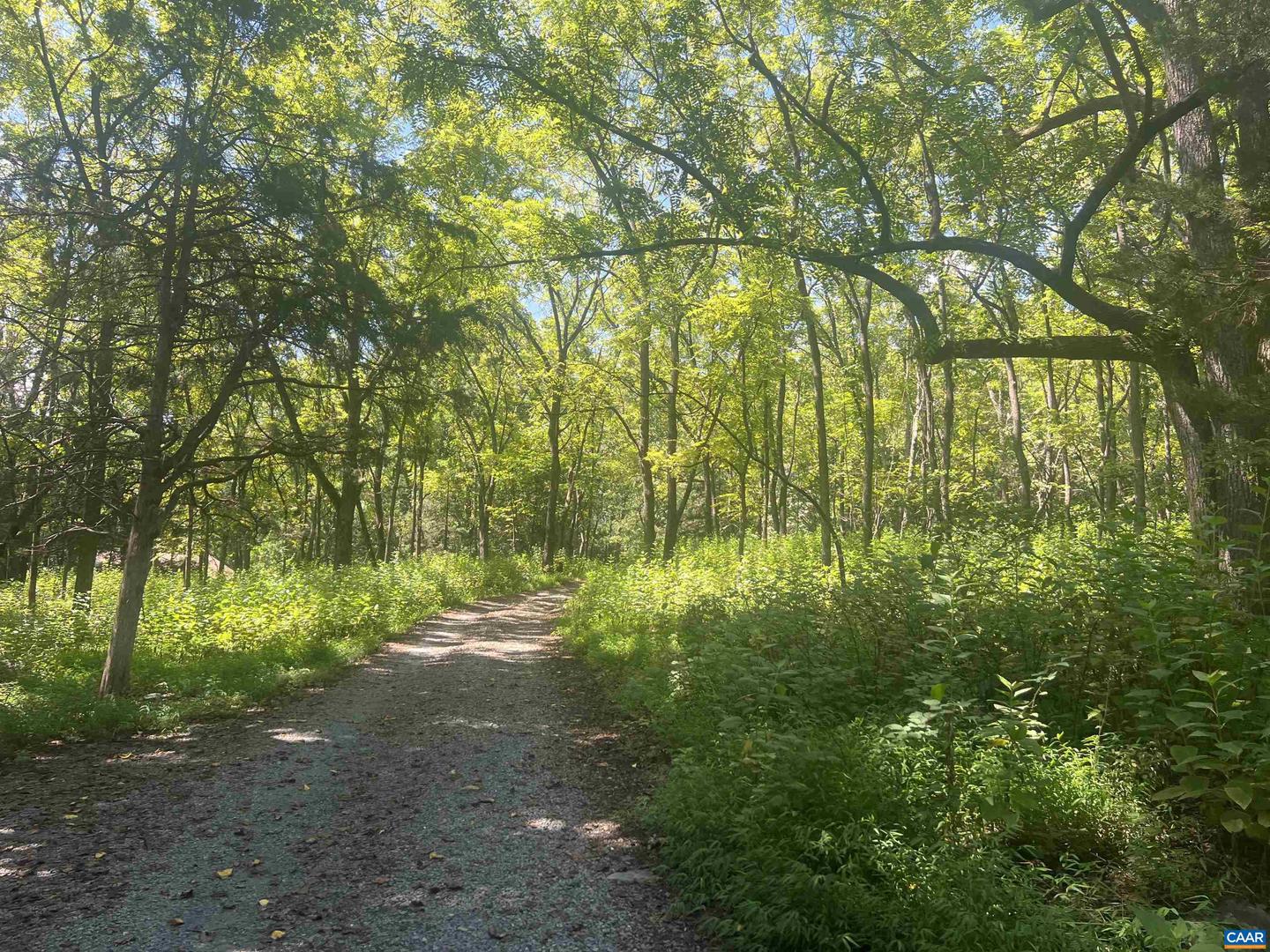 6630 HIGHLANDER WAY, CROZET, Virginia 22932, 3 Bedrooms Bedrooms, ,2 BathroomsBathrooms,Residential,For sale,6630 HIGHLANDER WAY,674012 MLS # 674012