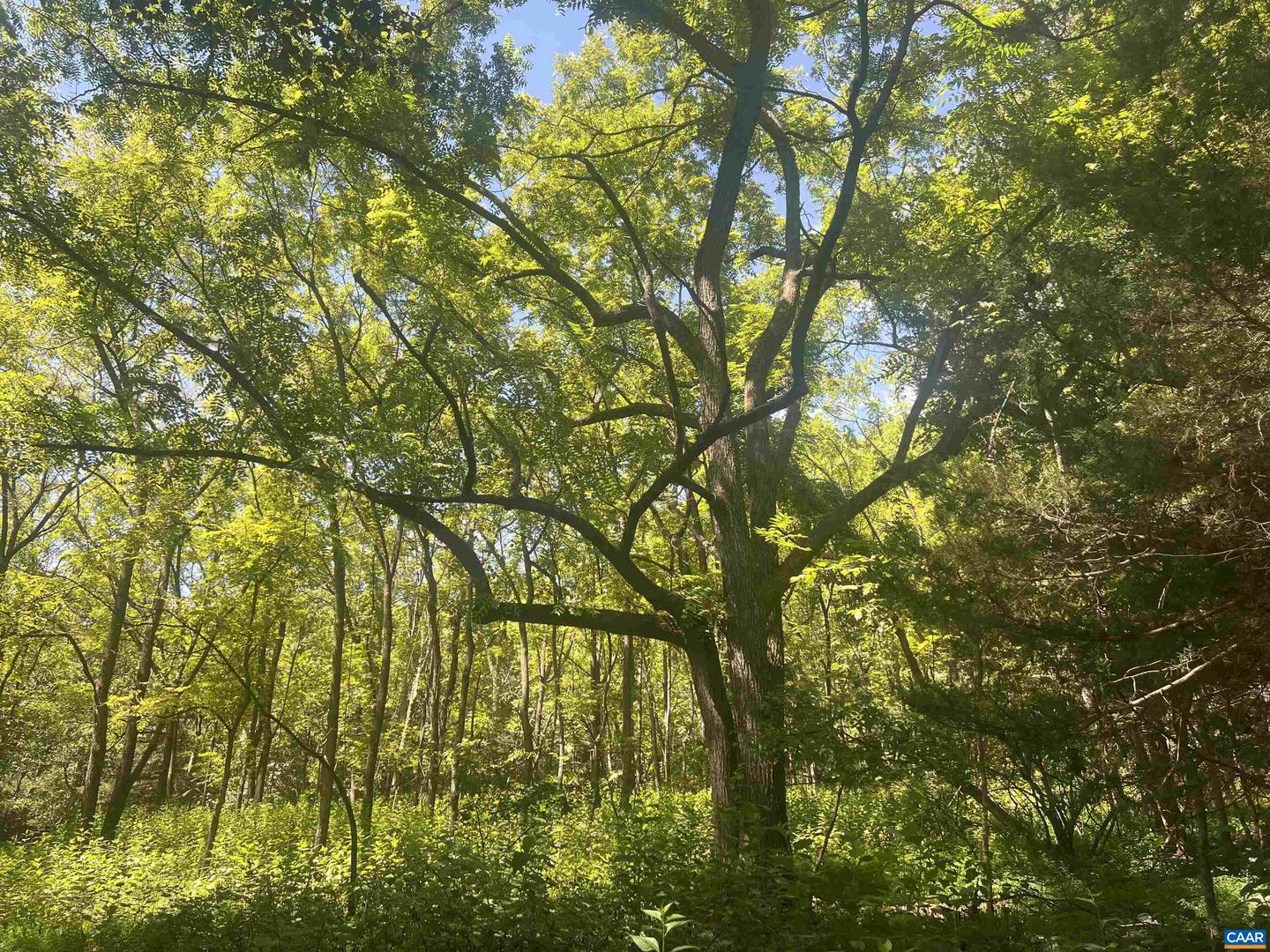 6630 HIGHLANDER WAY, CROZET, Virginia 22932, 3 Bedrooms Bedrooms, ,2 BathroomsBathrooms,Residential,For sale,6630 HIGHLANDER WAY,674012 MLS # 674012