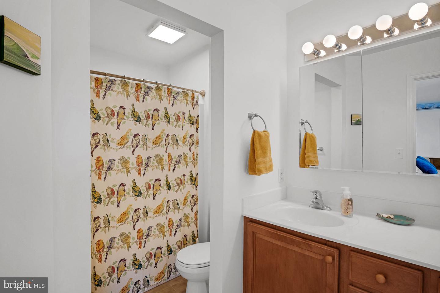 7516 DOE BAY LN, CHINCOTEAGUE ISLAND, Virginia 23336, 3 Bedrooms Bedrooms, ,3 BathroomsBathrooms,Residential,For sale,7516 DOE BAY LN,VAAC2002650 MLS # VAAC2002650 7516 DOE BAY LN, CHINCOTEAGUE ISLAND, Virginia 23336, 3 Bedrooms Bedrooms, ,3 BathroomsBathrooms,Residential,For sale,7516 DOE BAY LN,VAAC2002650 MLS # VAAC2002650