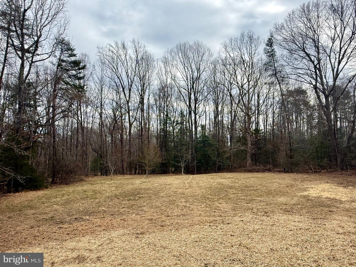 4313 SHEPHERDS RD, PARTLOW, Virginia 22534, 3 Bedrooms Bedrooms, ,2 BathroomsBathrooms,Residential,For sale,4313 SHEPHERDS RD,VASP2039768 MLS # VASP2039768