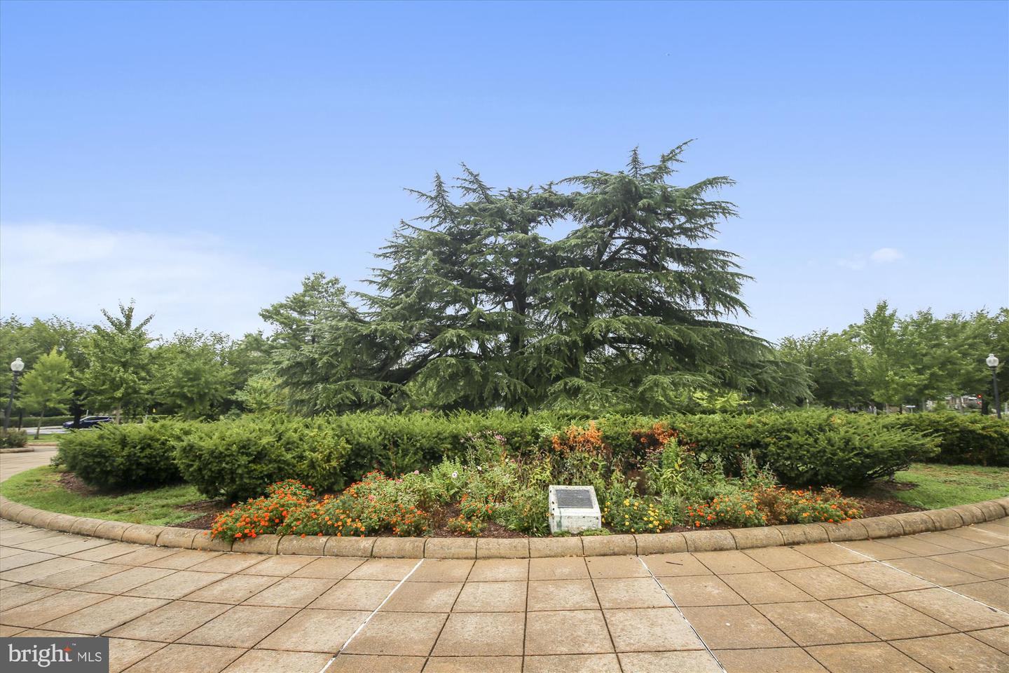 4315 NEW HAMPSHIRE AVE NW #1, WASHINGTON, District Of Columbia 20011, 2 Bedrooms Bedrooms, 6 Rooms Rooms,2 BathroomsBathrooms,Residential,For sale,4315 NEW HAMPSHIRE AVE NW #1,DCDC2249130 MLS # DCDC2249130