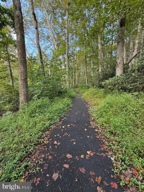 8461 RUSHING CREEK CT, SPRINGFIELD, Virginia 22153, 4 Bedrooms Bedrooms, ,2 BathroomsBathrooms,Residential,For sale,8461 RUSHING CREEK CT,VAFX2294316 MLS # VAFX2294316