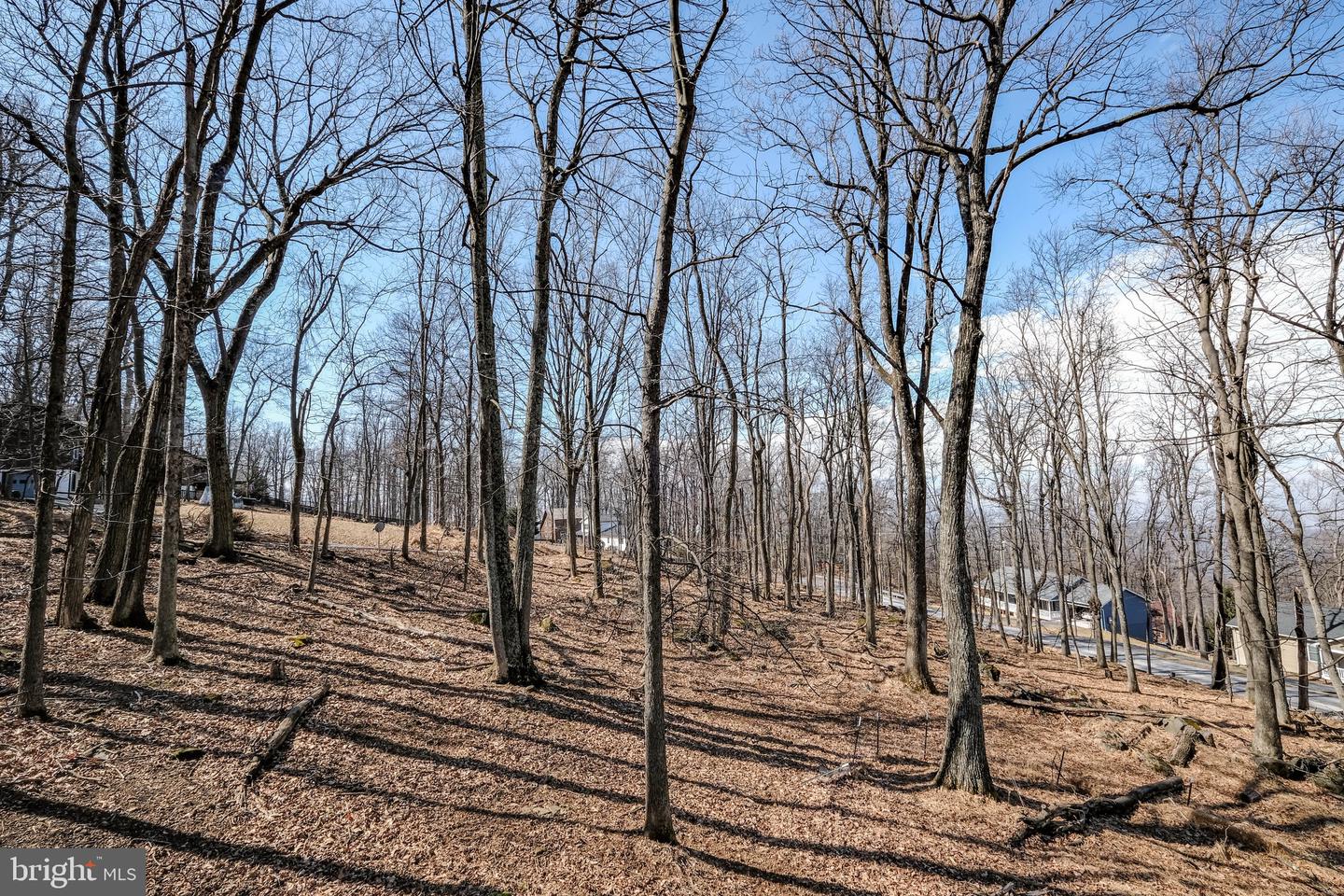 59 ALPINE DR, FRONT ROYAL, Virginia 22630, 2 Bedrooms Bedrooms, ,1 BathroomBathrooms,Residential,For sale,59 ALPINE DR,VAWR2013592 MLS # VAWR2013592