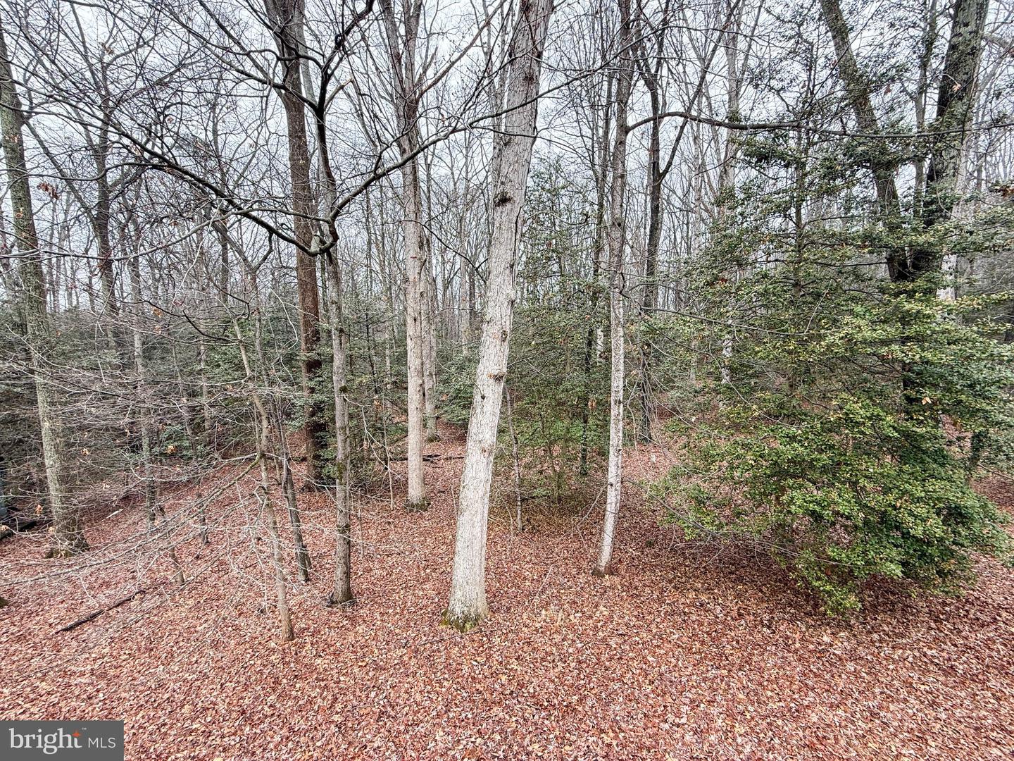 3106 HUNT RD, OAKTON, Virginia 22124, 4 Bedrooms Bedrooms, 8 Rooms Rooms,3 BathroomsBathrooms,Residential,For sale,3106 HUNT RD,VAFX2294540 MLS # VAFX2294540