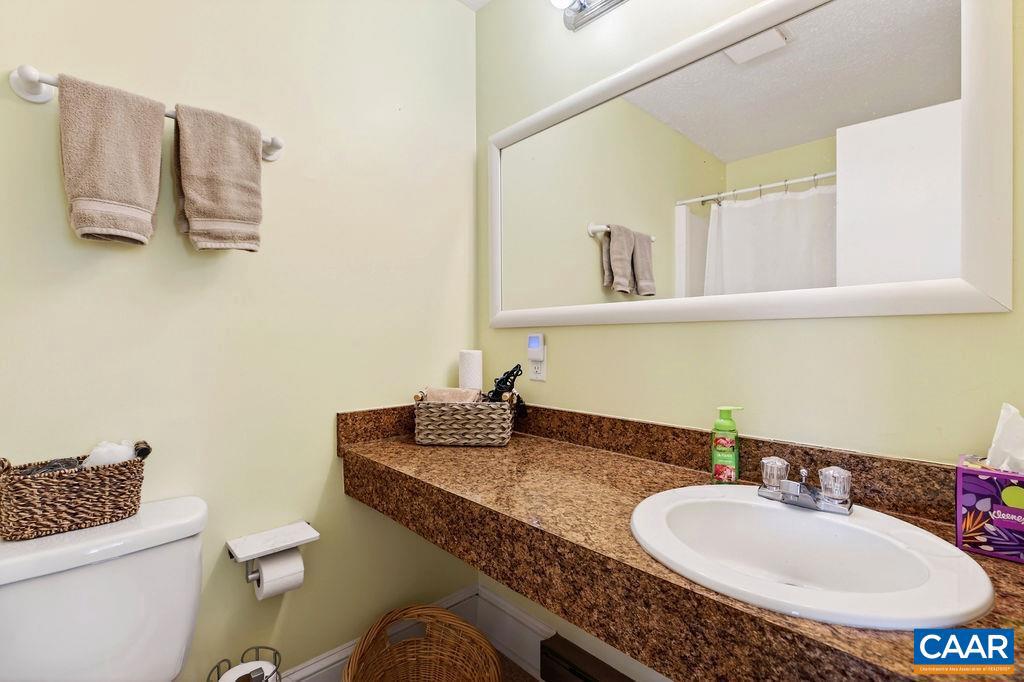 170 NORTH ROCK TREE LN, WINTERGREEN RESORT, Virginia 22967, 3 Bedrooms Bedrooms, ,2 BathroomsBathrooms,Residential,For sale,170 NORTH ROCK TREE LN,674032 MLS # 674032