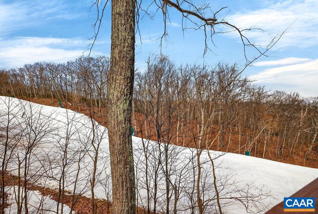 170 NORTH ROCK TREE LN, WINTERGREEN RESORT, Virginia 22967, 3 Bedrooms Bedrooms, ,2 BathroomsBathrooms,Residential,For sale,170 NORTH ROCK TREE LN,674032 MLS # 674032