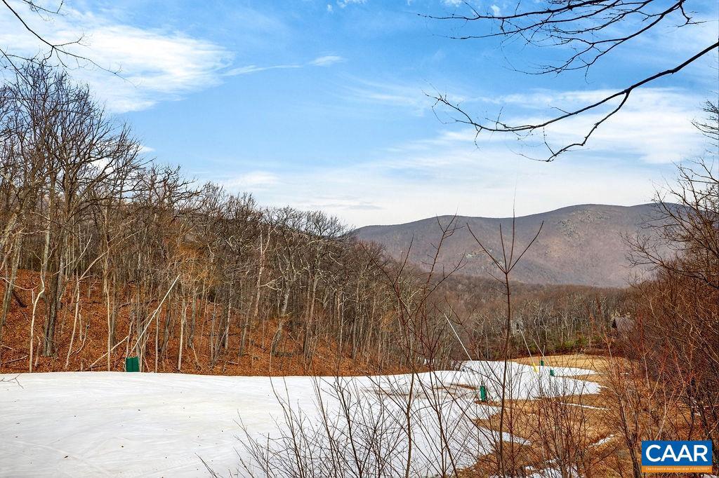 170 NORTH ROCK TREE LN, WINTERGREEN RESORT, Virginia 22967, 3 Bedrooms Bedrooms, ,2 BathroomsBathrooms,Residential,For sale,170 NORTH ROCK TREE LN,674032 MLS # 674032