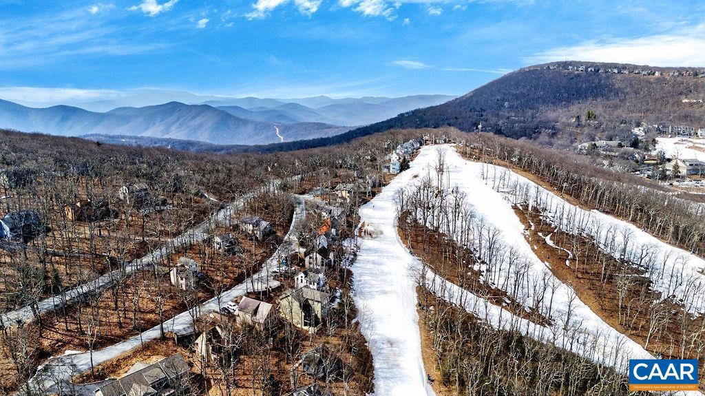 170 NORTH ROCK TREE LN, WINTERGREEN RESORT, Virginia 22967, 3 Bedrooms Bedrooms, ,2 BathroomsBathrooms,Residential,For sale,170 NORTH ROCK TREE LN,674032 MLS # 674032