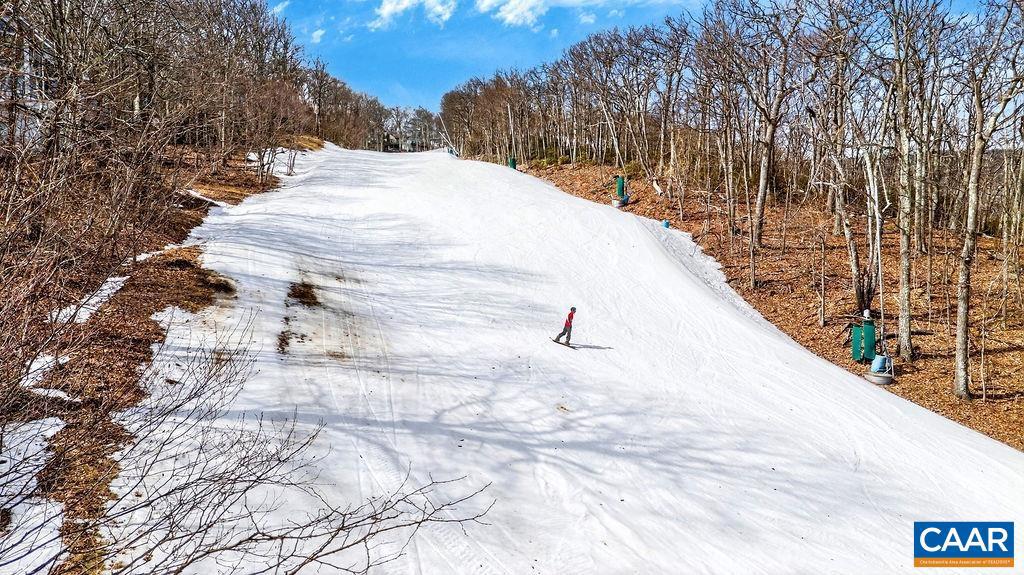 170 NORTH ROCK TREE LN, WINTERGREEN RESORT, Virginia 22967, 3 Bedrooms Bedrooms, ,2 BathroomsBathrooms,Residential,For sale,170 NORTH ROCK TREE LN,674032 MLS # 674032