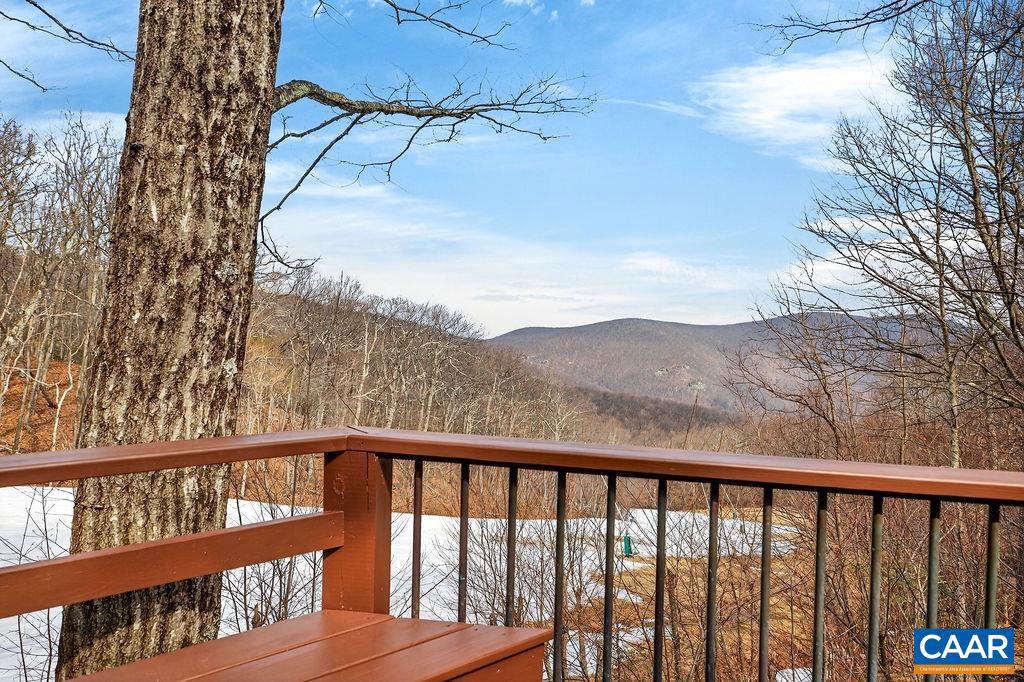 170 NORTH ROCK TREE LN, WINTERGREEN RESORT, Virginia 22967, 3 Bedrooms Bedrooms, ,2 BathroomsBathrooms,Residential,For sale,170 NORTH ROCK TREE LN,674032 MLS # 674032