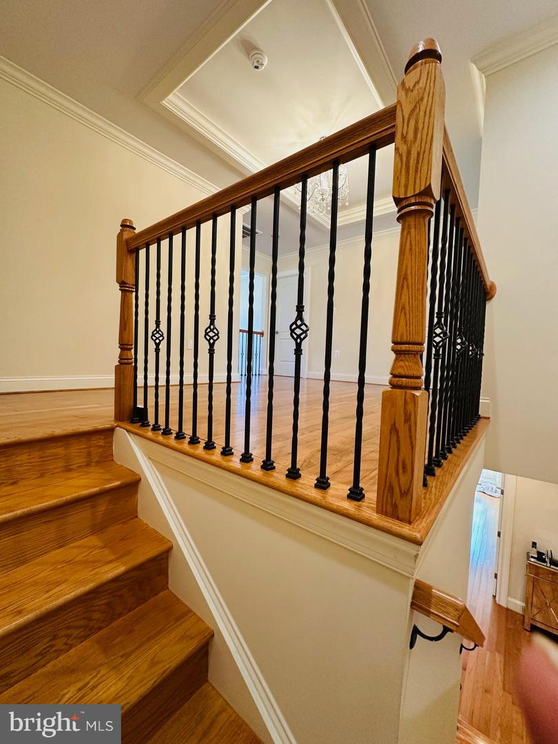 6413 DIVINE ST, MCLEAN, Virginia 22101, 6 Bedrooms Bedrooms, ,5 BathroomsBathrooms,Residential,For sale,6413 DIVINE ST,VAFX2294606 MLS # VAFX2294606