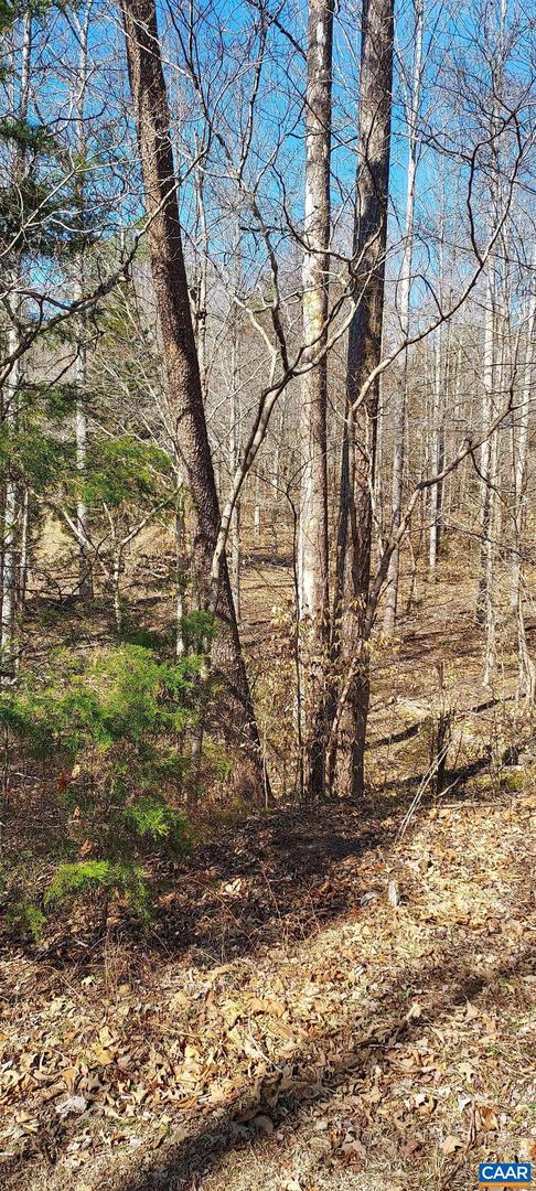 460 JEFFERSON #435, PALMYRA, Virginia 22963, ,Land,For sale,460 JEFFERSON #435,674068 MLS # 674068