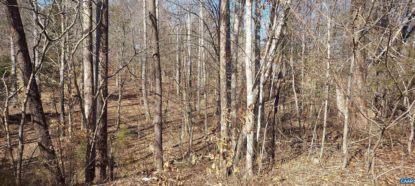 460 JEFFERSON #435, PALMYRA, Virginia 22963, ,Land,For sale,460 JEFFERSON #435,674068 MLS # 674068