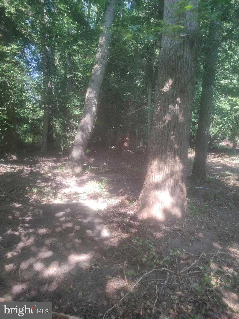 5940 BARBERRY TRL, LORTON, Virginia 22079, ,Land,For sale,5940 BARBERRY TRL,VAFX2294768 MLS # VAFX2294768