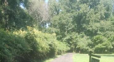 5940 BARBERRY TRL, LORTON, Virginia 22079, ,Land,For sale,5940 BARBERRY TRL,VAFX2294768 MLS # VAFX2294768