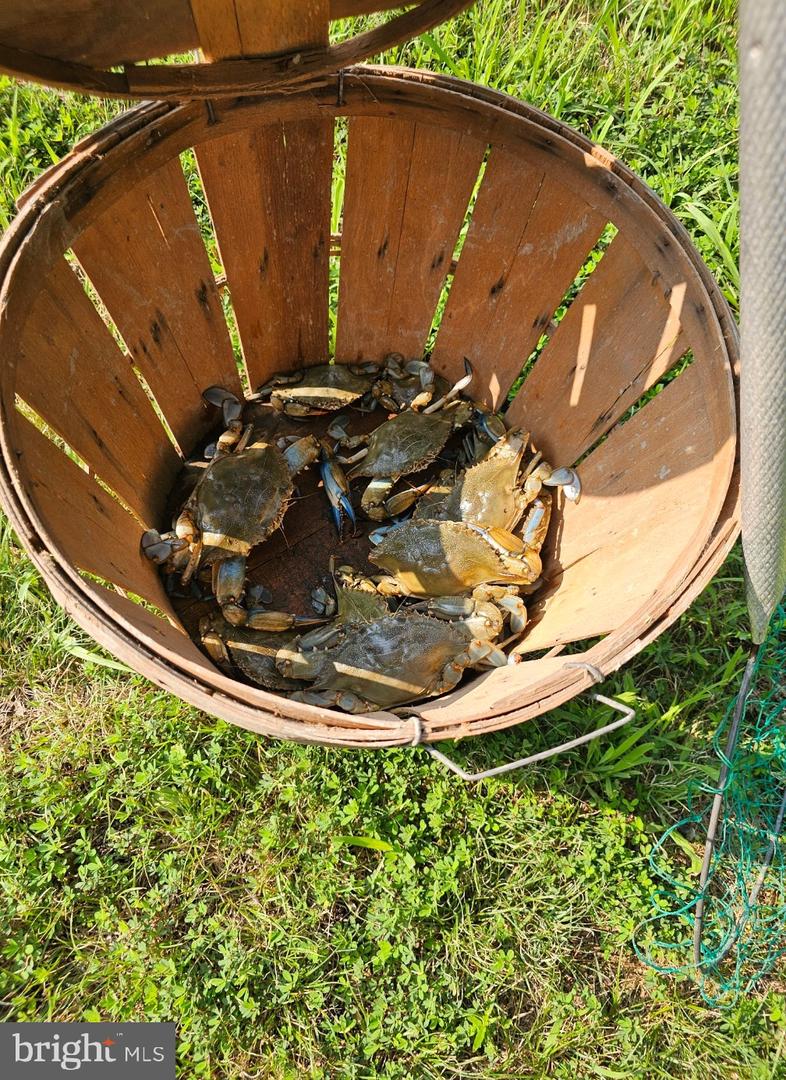 0 SANDY BEACH RD, HEATHSVILLE, Virginia 22473, ,Land,For sale,0 SANDY BEACH RD,VANV2001908 MLS # VANV2001908