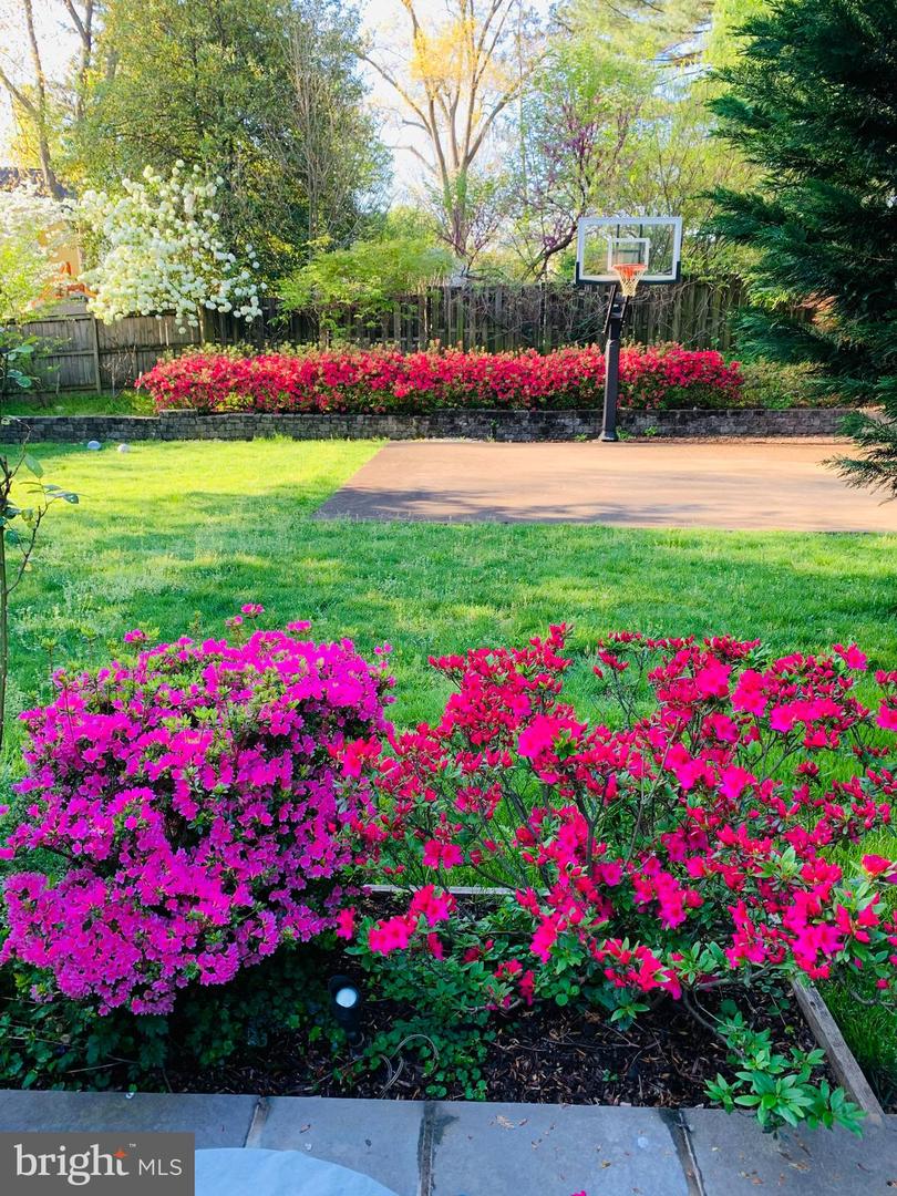 6703 HALLWOOD AVE, FALLS CHURCH, Virginia 22046, 3 Bedrooms Bedrooms, ,2 BathroomsBathrooms,Residential,For sale,6703 HALLWOOD AVE,VAFX2291848 MLS # VAFX2291848