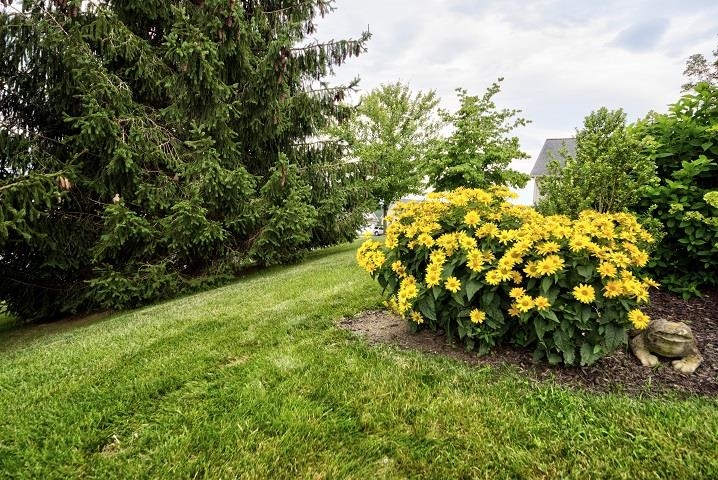 110 JOY LN, FISHERSVILLE, Virginia 22939, 3 Bedrooms Bedrooms, ,2 BathroomsBathrooms,Residential,110 JOY LN,674066 MLS # 674066