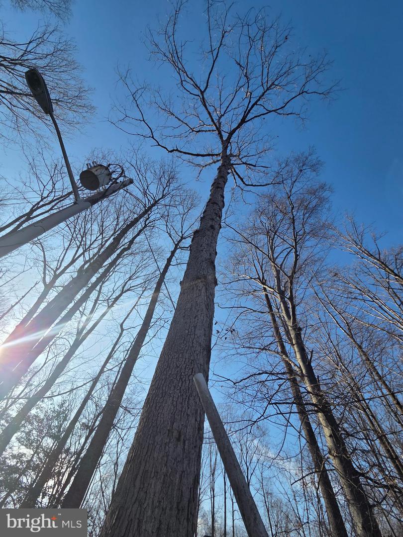 8004 GRACIE DR, MANASSAS, Virginia 20112, 3 Bedrooms Bedrooms, ,2 BathroomsBathrooms,Residential,For sale,8004 GRACIE DR,VAPW2113826 MLS # VAPW2113826