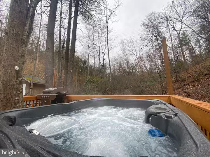 1144 KREJCI BLVD., MOUNT JACKSON, Virginia 22842, 2 Bedrooms Bedrooms, ,1 BathroomBathrooms,Residential,For sale,1144 KREJCI BLVD.,VASH2013398 MLS # VASH2013398