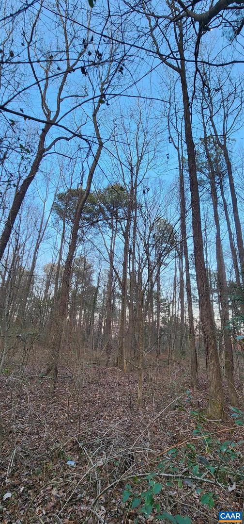 NEW MARKET RD, HENRICO, Virginia 23231, ,Land,For sale,NEW MARKET RD,674072 MLS # 674072