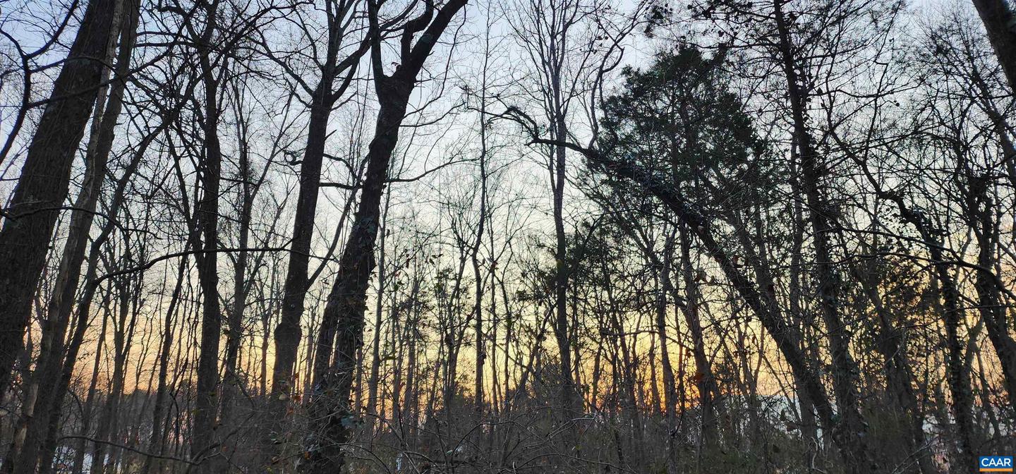 NEW MARKET RD, HENRICO, Virginia 23231, ,Land,For sale,NEW MARKET RD,674072 MLS # 674072