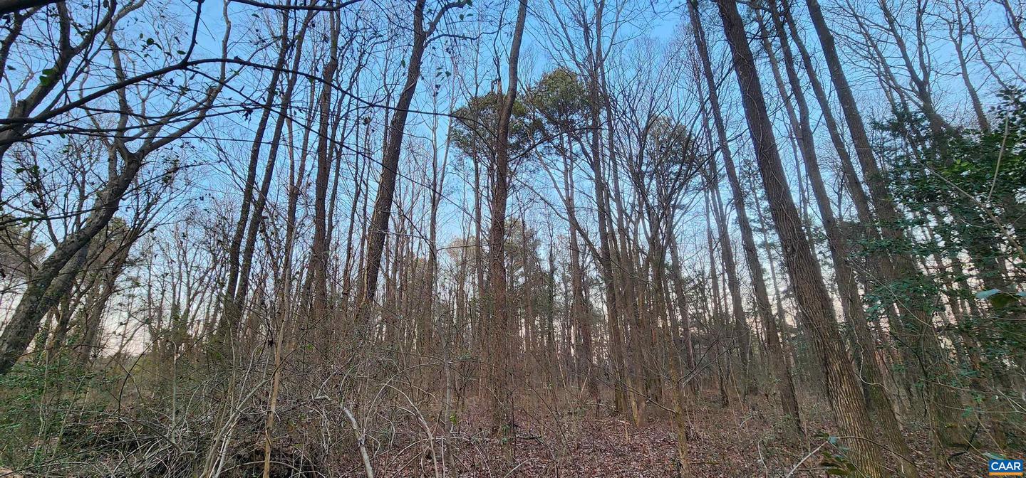 NEW MARKET RD, HENRICO, Virginia 23231, ,Land,For sale,NEW MARKET RD,674072 MLS # 674072