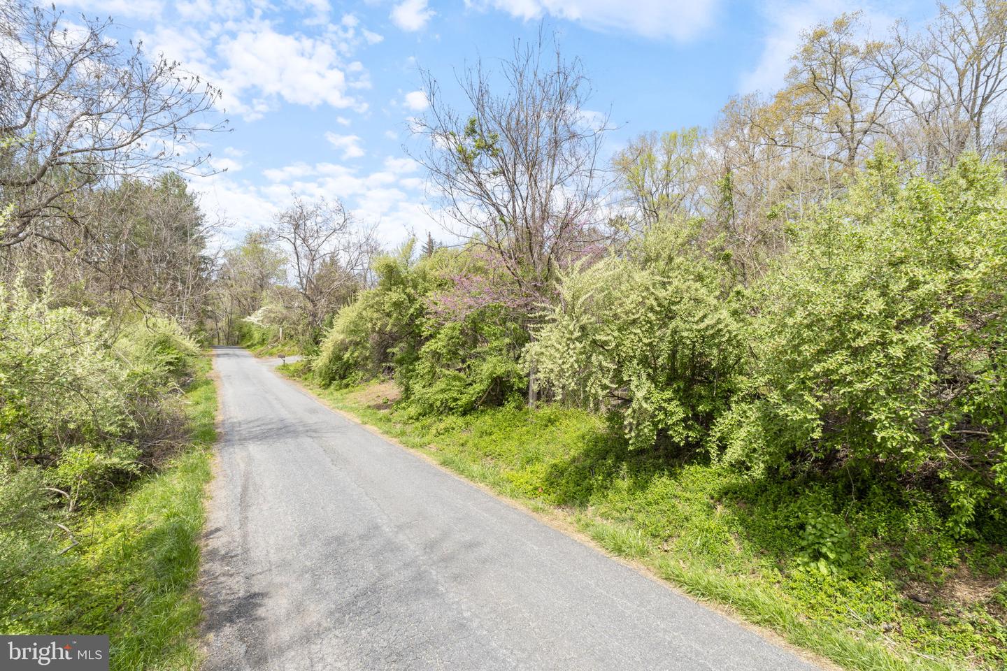 TBD LAKESIDE DR, CHARLOTTESVILLE, Virginia 22901, ,Land,For sale,TBD LAKESIDE DR,VAAB2001170 MLS # VAAB2001170