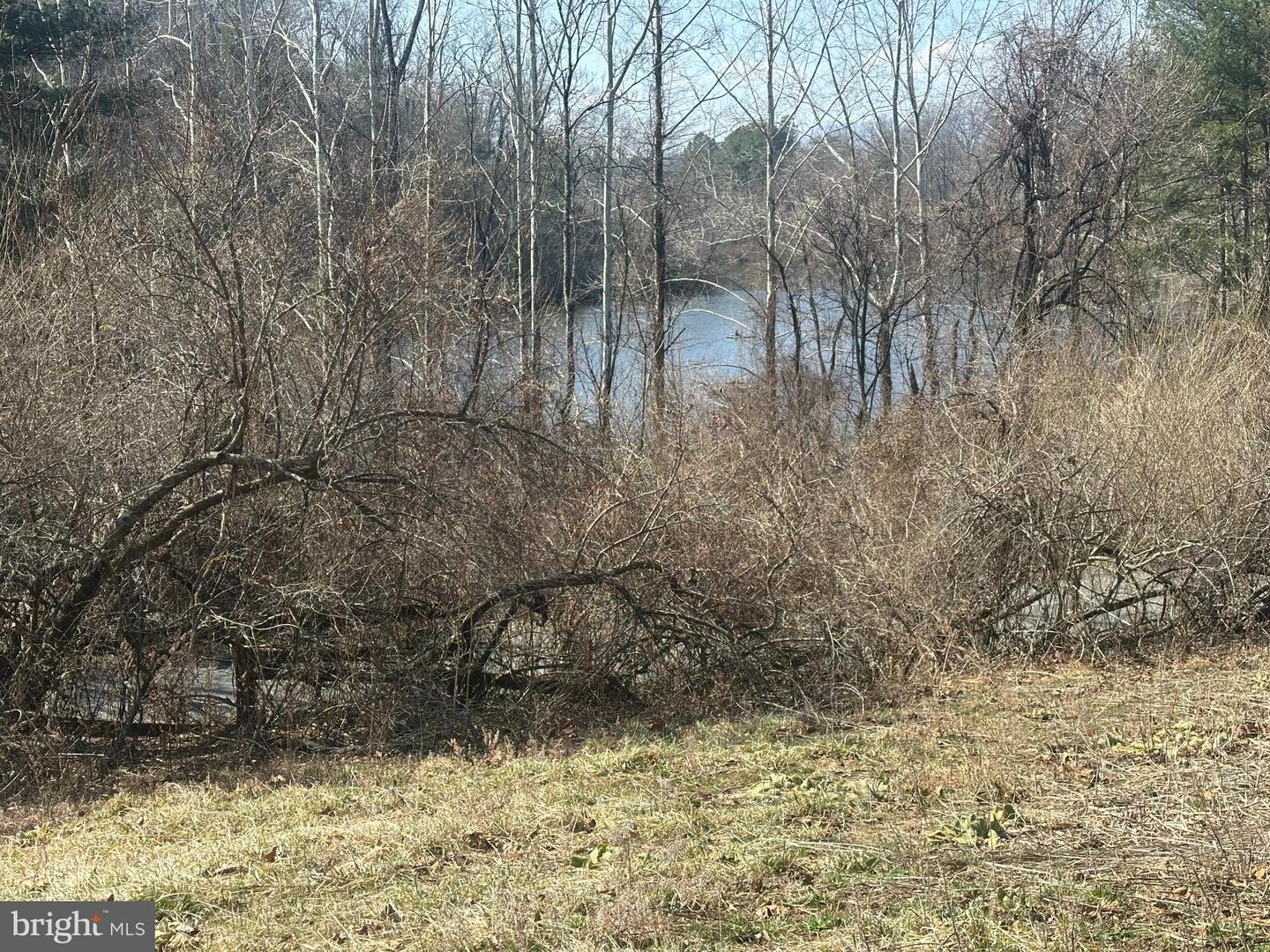 TBD LAKESIDE DR, CHARLOTTESVILLE, Virginia 22901, ,Land,For sale,TBD LAKESIDE DR,VAAB2001170 MLS # VAAB2001170 TBD LAKESIDE DR, CHARLOTTESVILLE, Virginia 22901, ,Land,For sale,TBD LAKESIDE DR,VAAB2001170 MLS # VAAB2001170