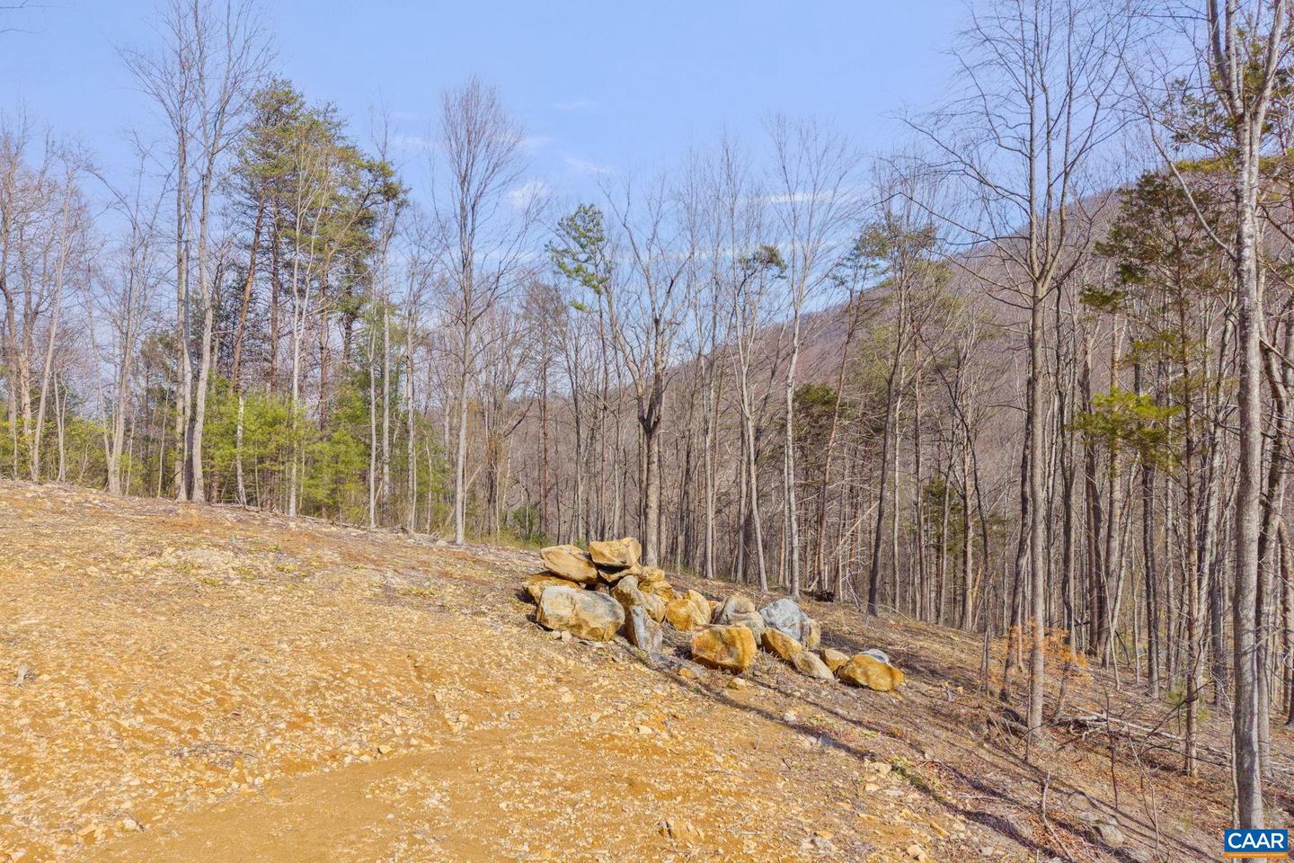 48 ACRES BLACKWELLS HOLLOW RD, CROZET, Virginia 22932, ,Land,For sale,48 ACRES BLACKWELLS HOLLOW RD,674074 MLS # 674074