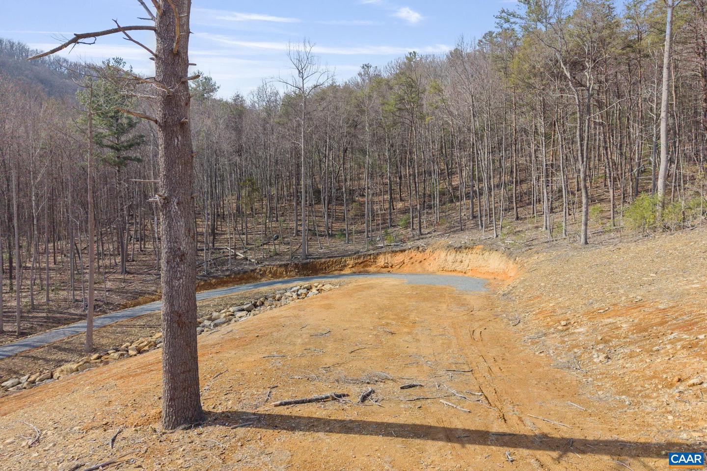 48 ACRES BLACKWELLS HOLLOW RD, CROZET, Virginia 22932, ,Land,For sale,48 ACRES BLACKWELLS HOLLOW RD,674074 MLS # 674074