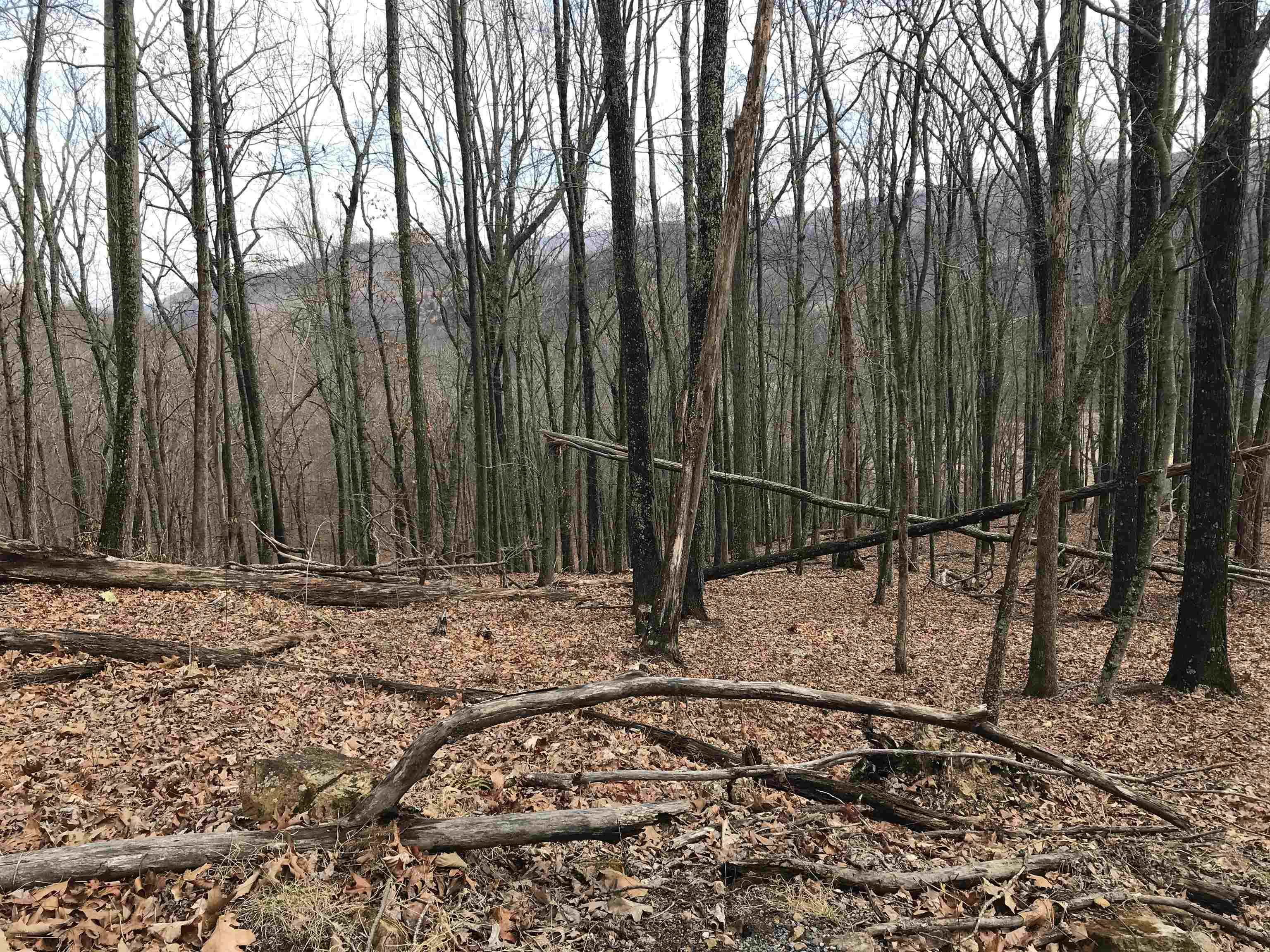 35 DOGWOOD LN, MONTEREY, Virginia 24465, ,Land,Lot 35,35 DOGWOOD LN,674078 MLS # 674078