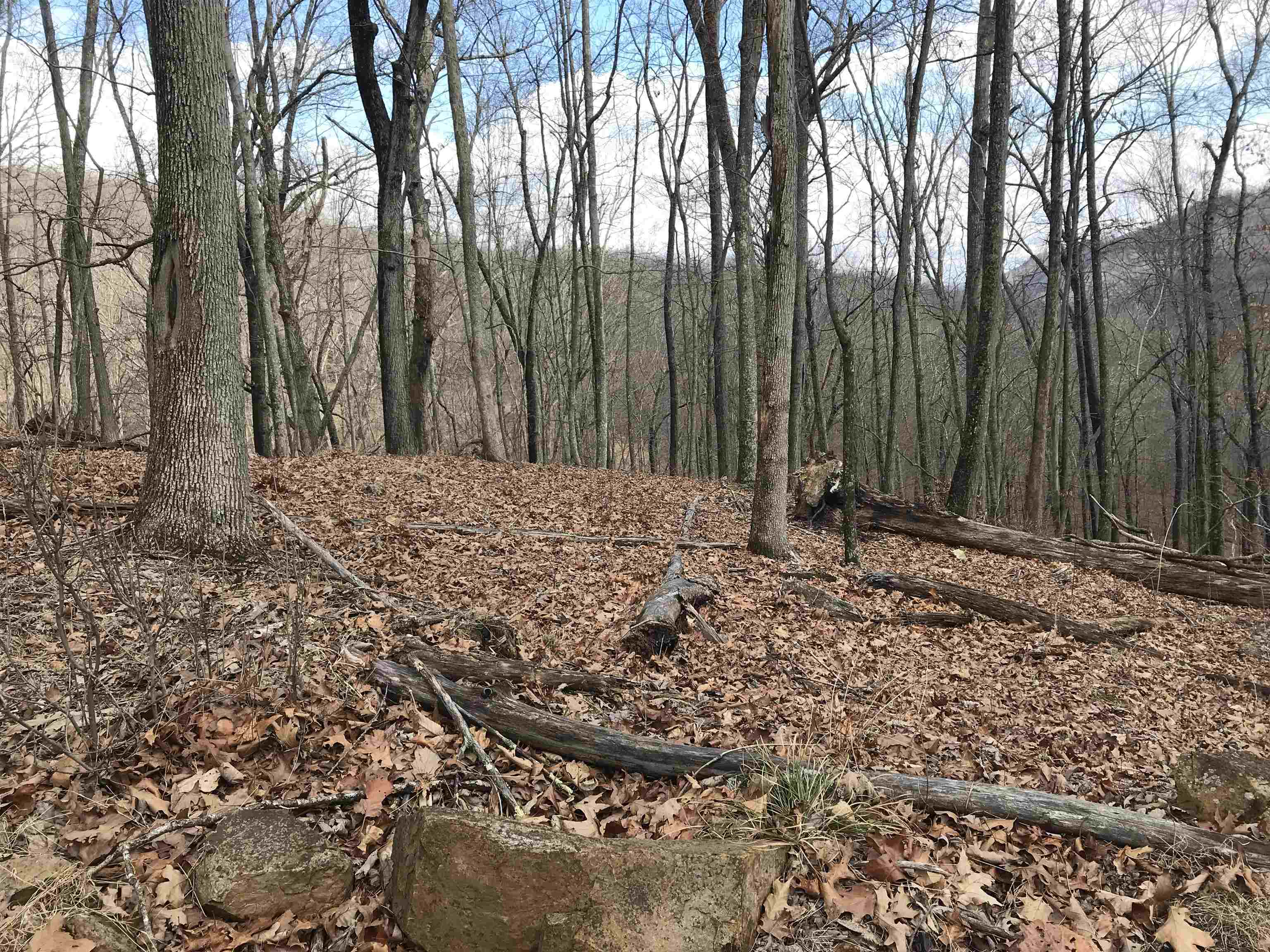 35 DOGWOOD LN, MONTEREY, Virginia 24465, ,Land,Lot 35,35 DOGWOOD LN,674078 MLS # 674078