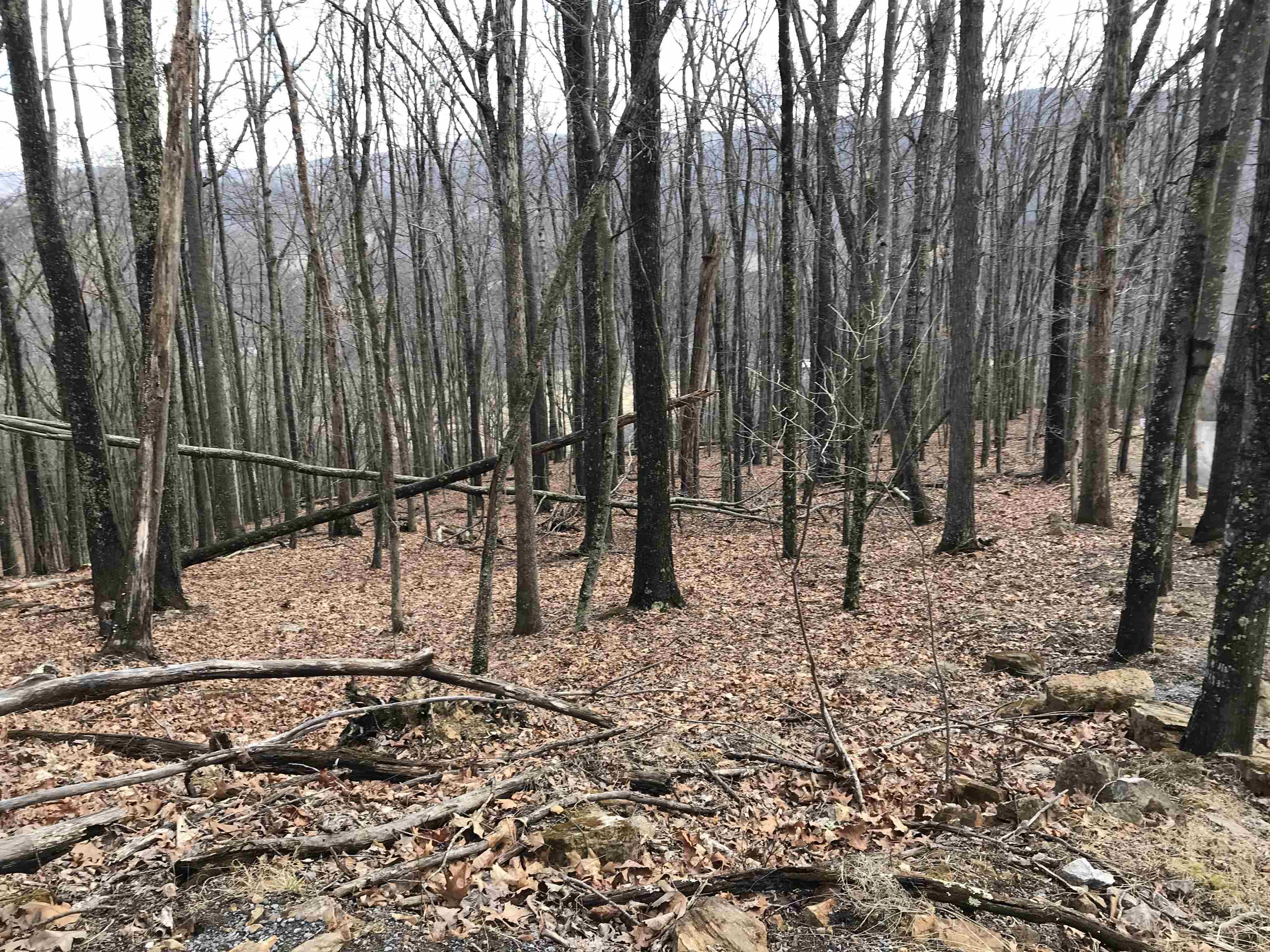 35 DOGWOOD LN, MONTEREY, Virginia 24465, ,Land,Lot 35,35 DOGWOOD LN,674078 MLS # 674078