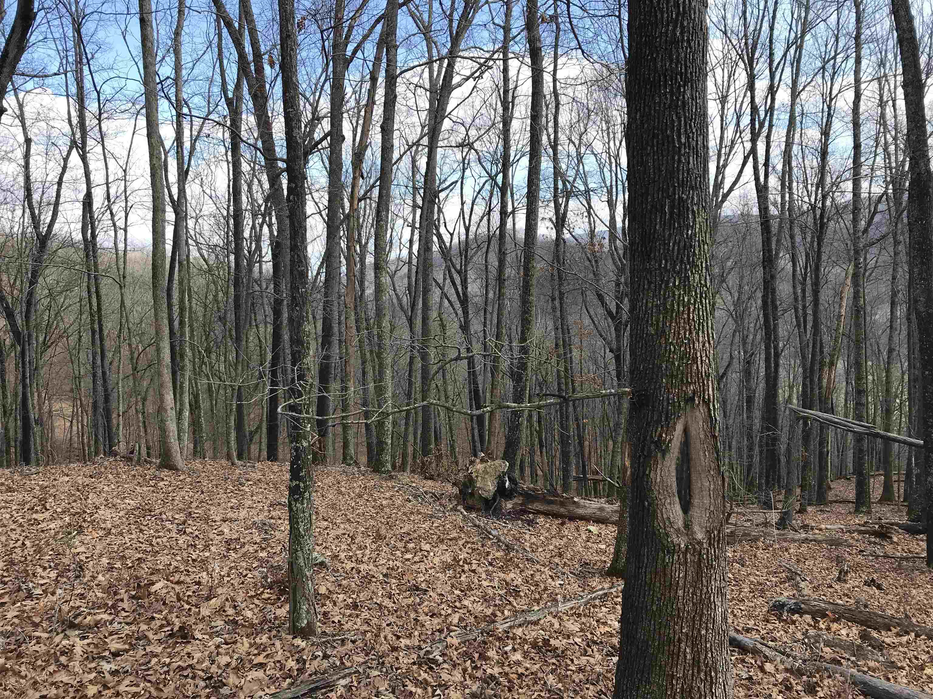 35 DOGWOOD LN, MONTEREY, Virginia 24465, ,Land,Lot 35,35 DOGWOOD LN,674078 MLS # 674078