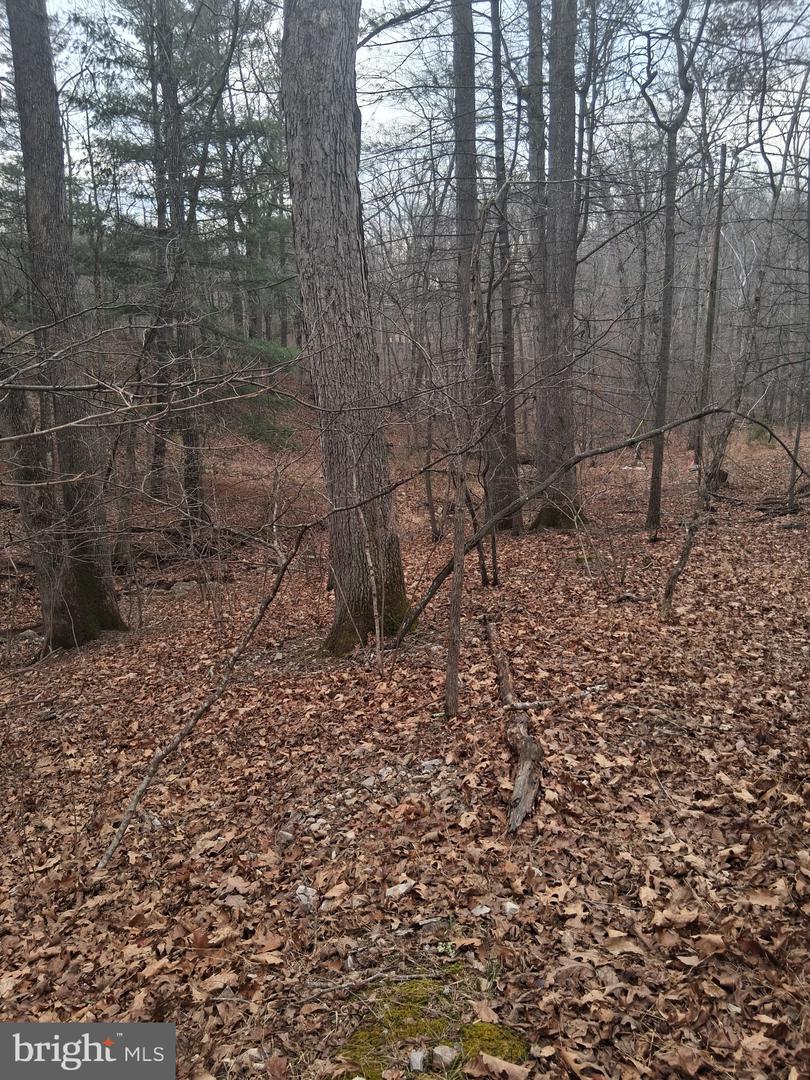 VESEY DR, FRONT ROYAL, Virginia 22630, ,Land,For sale,VESEY DR,VAWR2013582 MLS # VAWR2013582