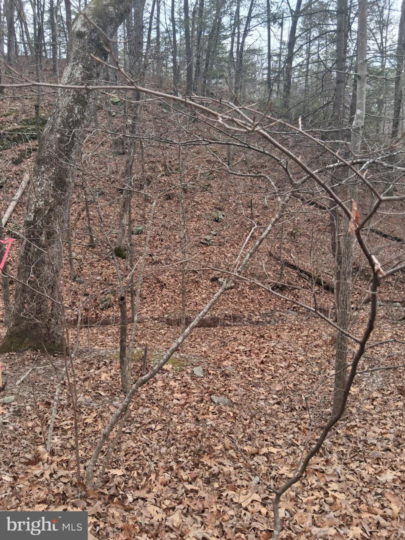 VESEY DR, FRONT ROYAL, Virginia 22630, ,Land,For sale,VESEY DR,VAWR2013582 MLS # VAWR2013582