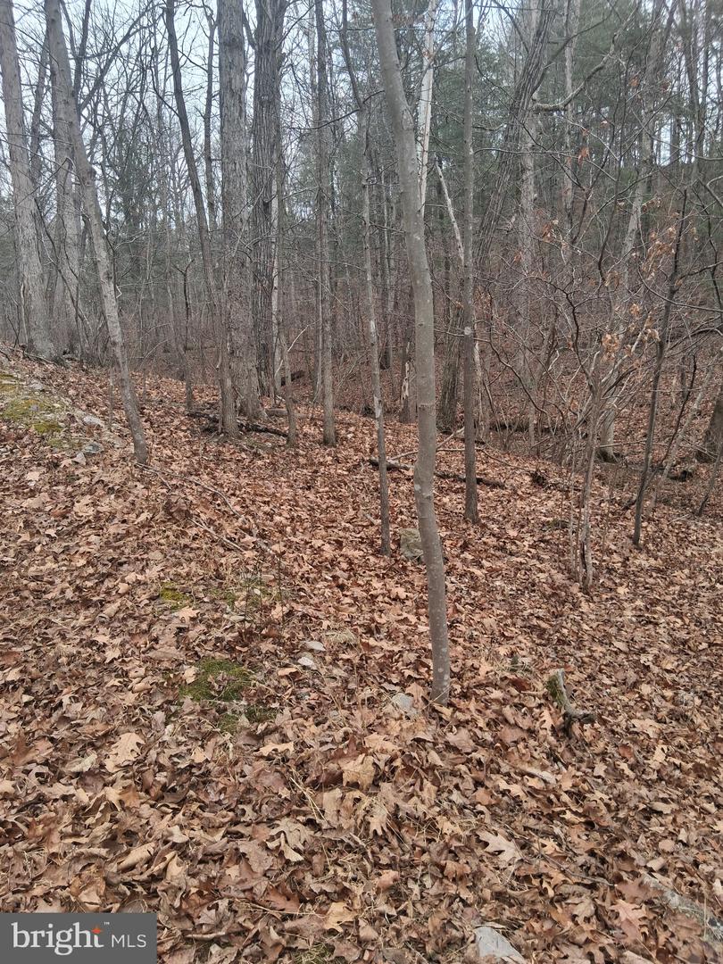 VESEY DR, FRONT ROYAL, Virginia 22630, ,Land,For sale,VESEY DR,VAWR2013582 MLS # VAWR2013582