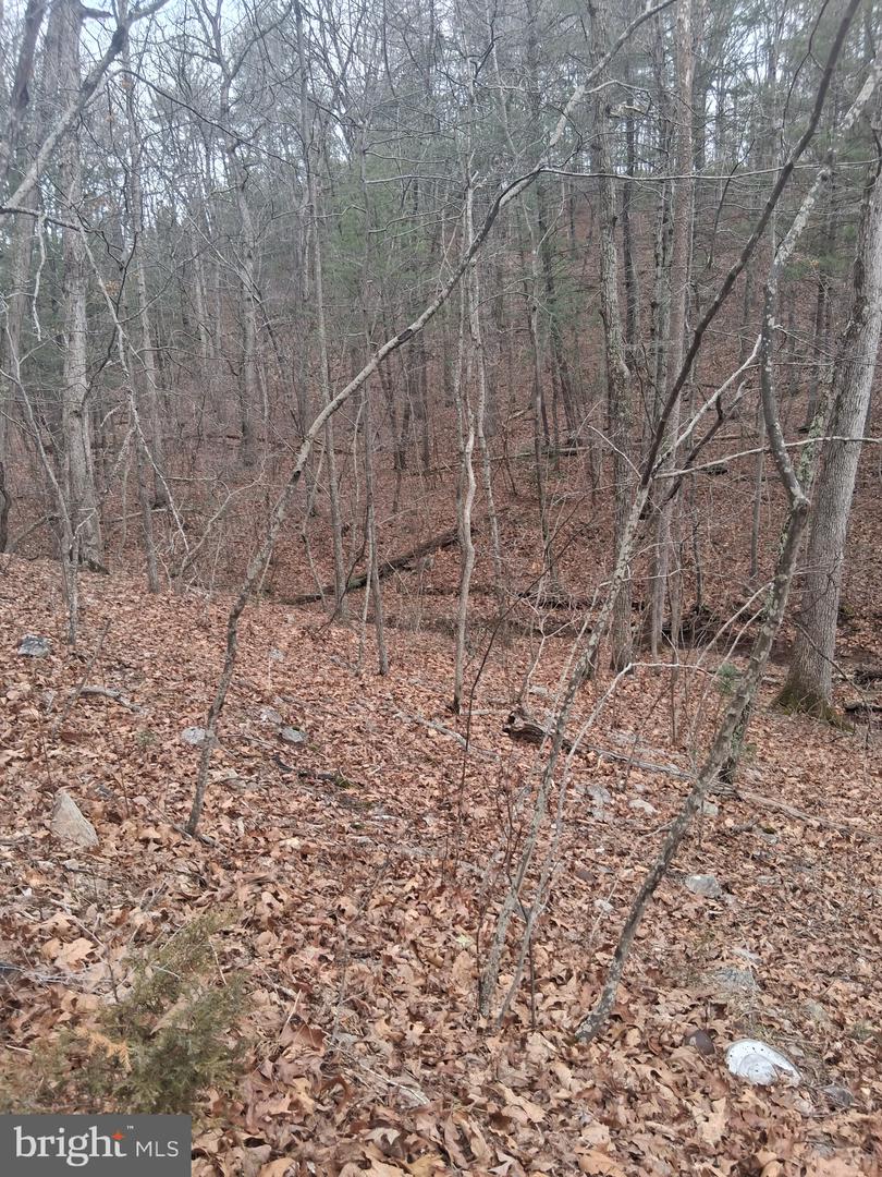 VESEY DR, FRONT ROYAL, Virginia 22630, ,Land,For sale,VESEY DR,VAWR2013582 MLS # VAWR2013582