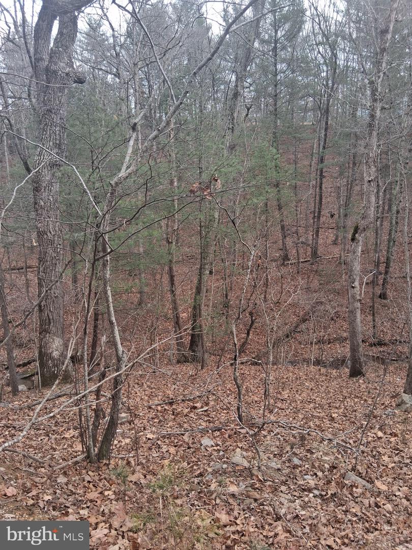 VESEY DR, FRONT ROYAL, Virginia 22630, ,Land,For sale,VESEY DR,VAWR2013582 MLS # VAWR2013582