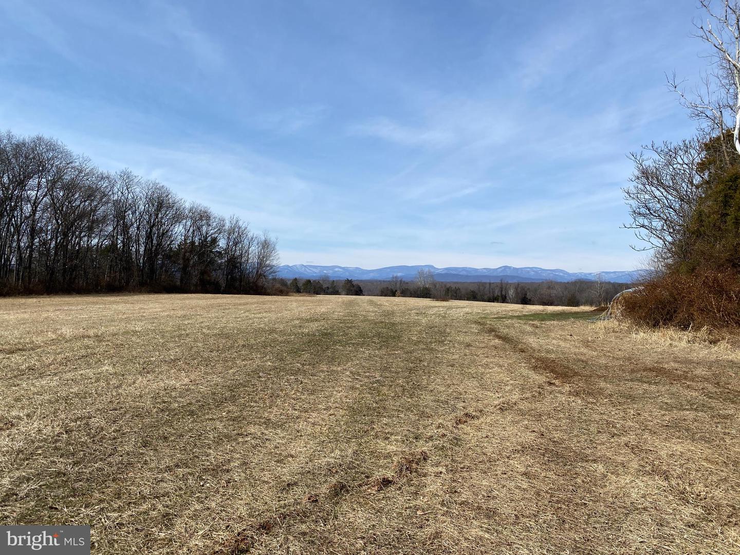 19197 WHITES FARM LN, CULPEPER, Virginia 22701, ,Land,For sale,19197 WHITES FARM LN,VACU2012882 MLS # VACU2012882