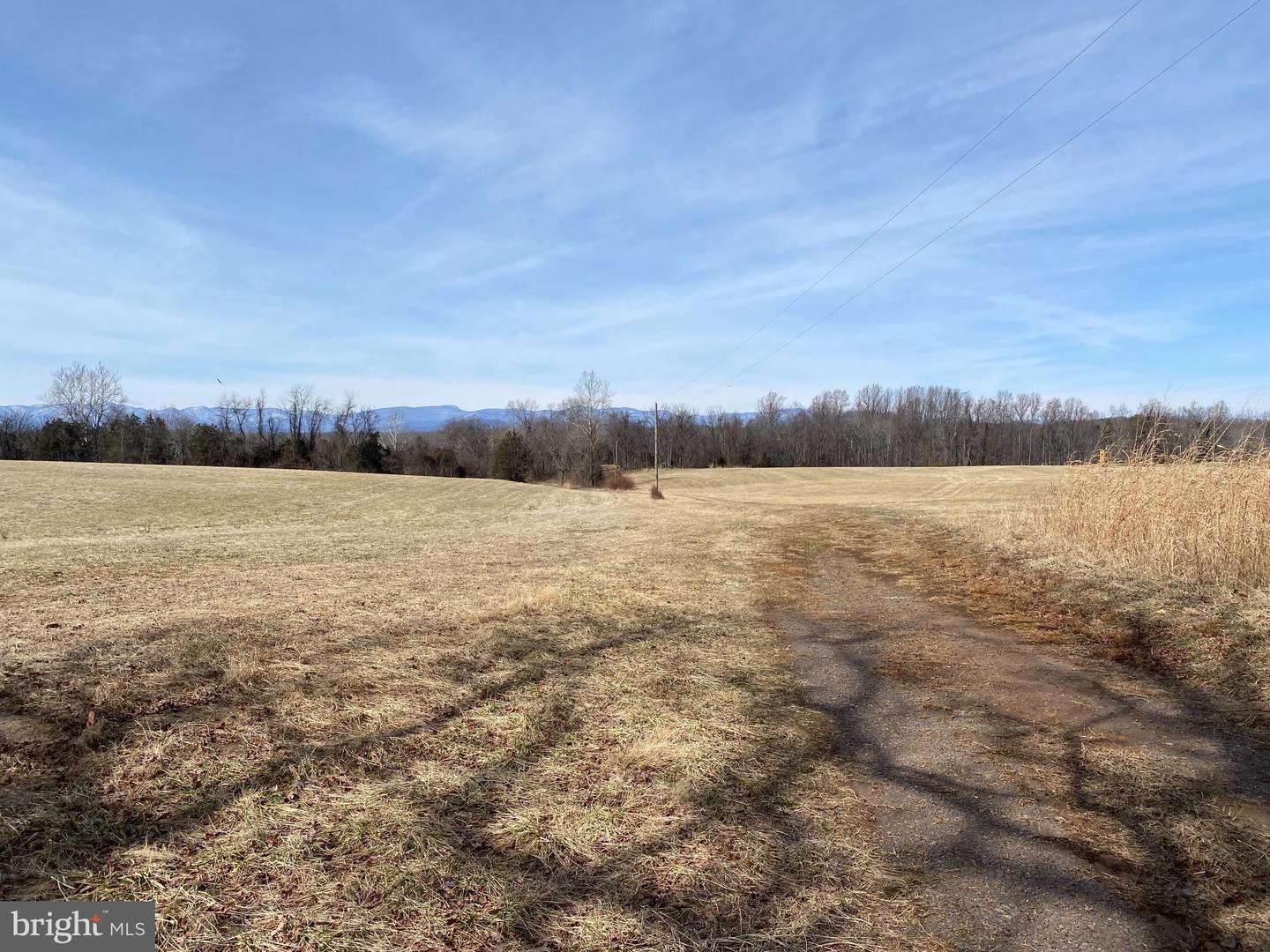 19197 WHITES FARM LN, CULPEPER, Virginia 22701, ,Land,For sale,19197 WHITES FARM LN,VACU2012882 MLS # VACU2012882