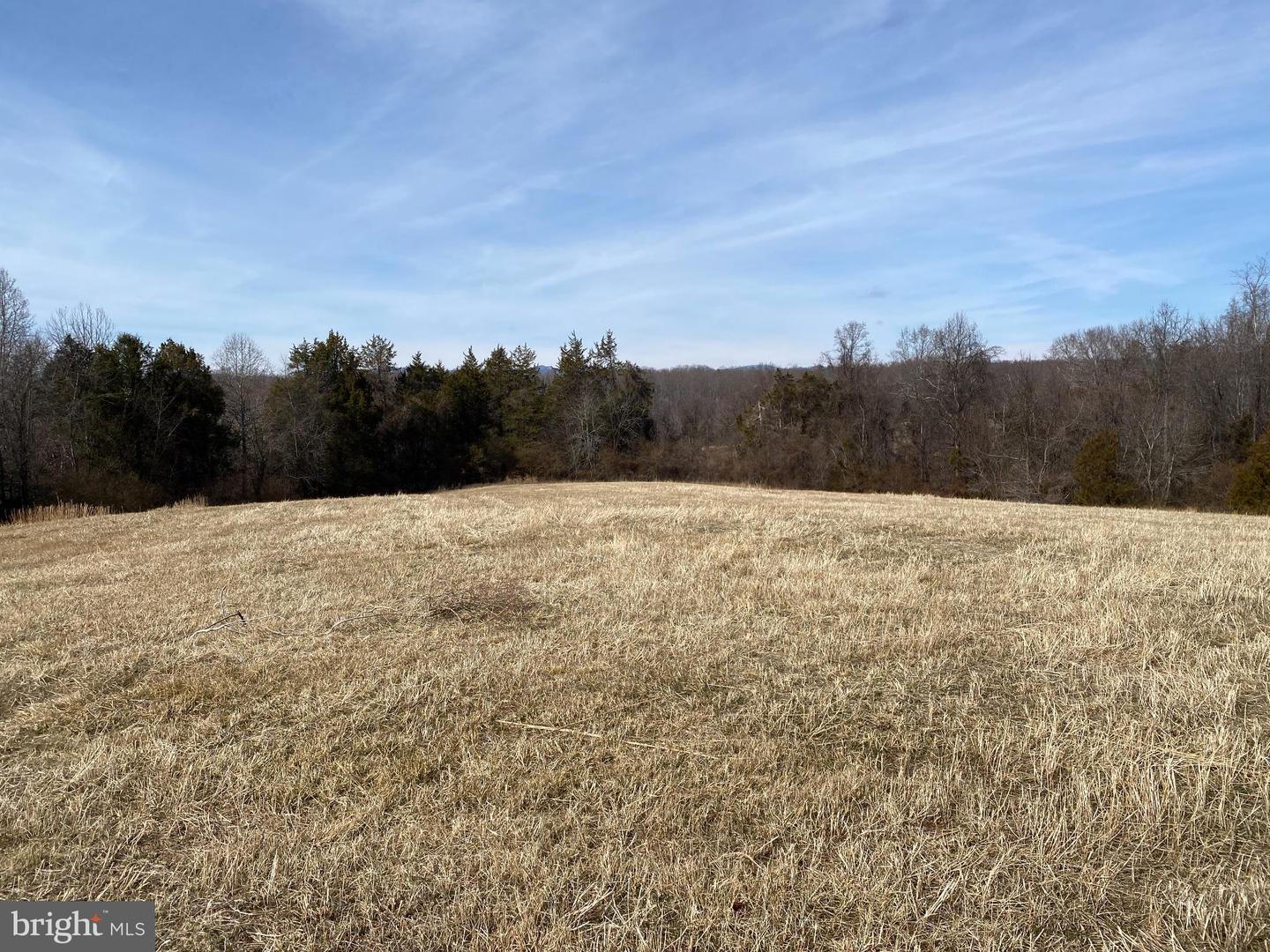 19197 WHITES FARM LN, CULPEPER, Virginia 22701, ,Land,For sale,19197 WHITES FARM LN,VACU2012882 MLS # VACU2012882