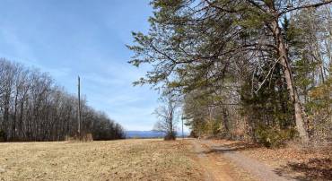 19197 WHITES FARM LN, CULPEPER, Virginia 22701, ,Land,For sale,19197 WHITES FARM LN,VACU2012882 MLS # VACU2012882